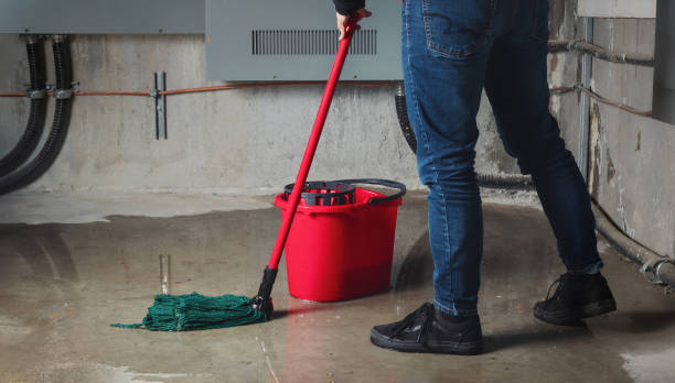 Best Local water damage restoration  in Enterprise, UT