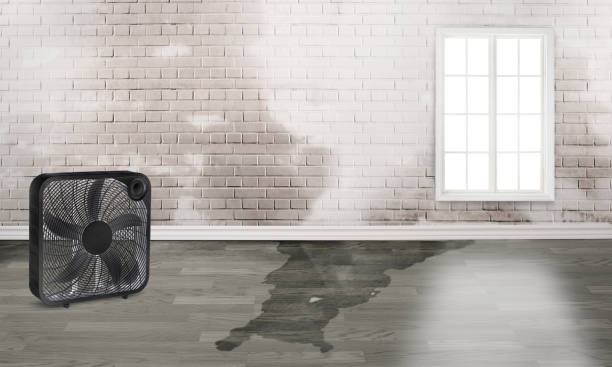Best Water damage restoration services  in Enterprise, UT