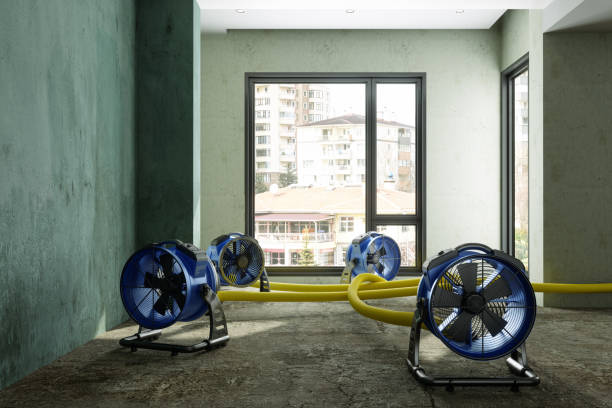Best 24-hour water damage restoration  in Enterprise, UT
